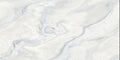 Digital Vitrified Tiles Code Regal Ice Endless (600x1200 mm) Glossy