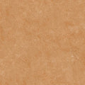 Digital porcelain Tiles Code S-254 (600x600 mm) Sugar Series