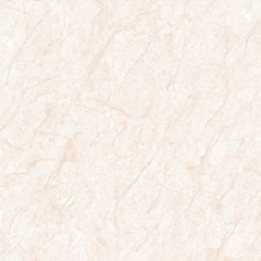 Digital porcelain Tiles Code S-235 (600x600 mm) Sugar Series