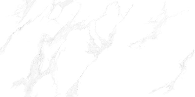 Digital Vitrified Tiles Code Satvario Silver Endless (600x1200 mm) Glossy