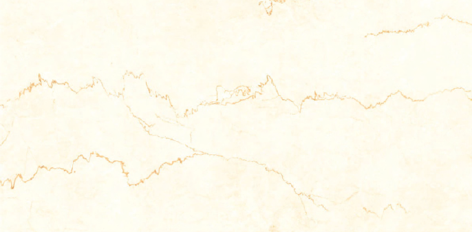 Digital Vitrified Carving Tiles Code Savio Bottochino (600x1200 mm) Carving