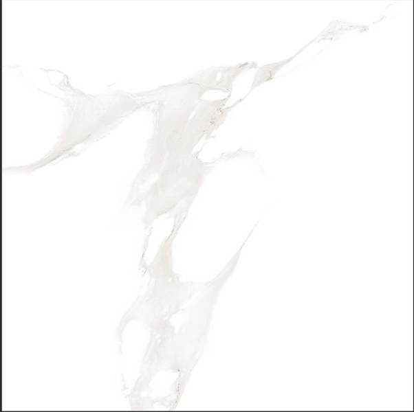 Digital Vitrified Tile Code Smoke Staturio (600x600 mm) Glossy