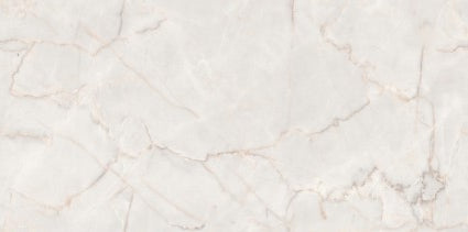Digital Vitrified Tiles Code Snech Bianco (600x1200 mm) Carving Endless