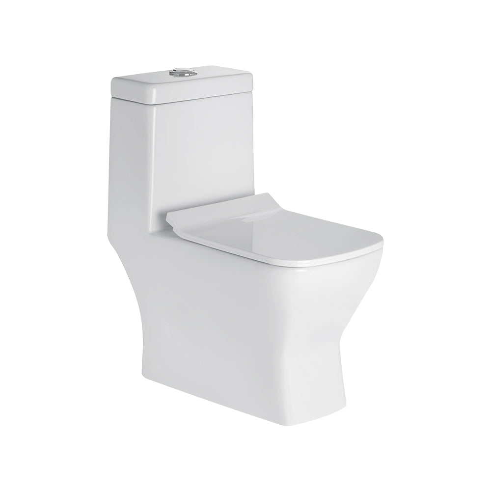 AGL Sony One Piece EWC