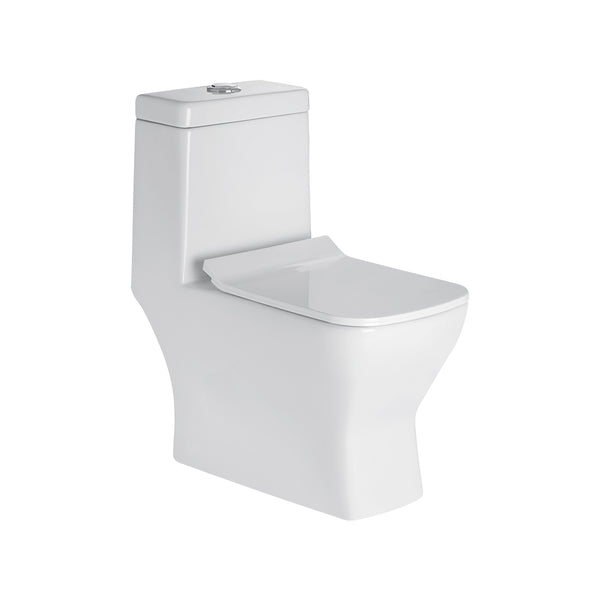 AGL Sony S Trap One Piece EWC With Soft Close Seat Cover