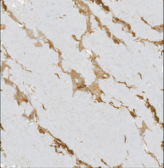 Digital Vitrified Carving Tiles Code Sparkle Gold (600x600 mm) Carving