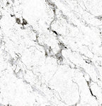 Digital Vitrified Carving Tiles Code Sparkle White (600x600 mm) Carving