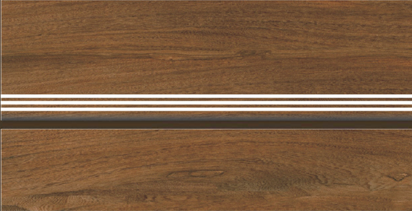 Digital Step & Riser Tiles Code 1179 (1X3 Feet) Matt