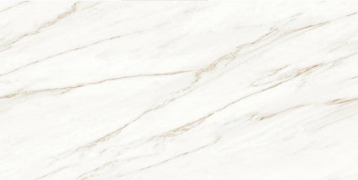 Digital Vitrified Tiles Code Staturio Arco (600x1200 mm) Glossy