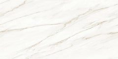 Digital Vitrified Tiles Code Staturio Arco (600x1200 mm) Glossy