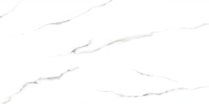 Digital Vitrified Tiles Code Staturio Cara (600x1200 mm) Glossy