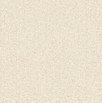 Digital porcelain Tiles Code Stonex Ivory (600x600 mm) Matt