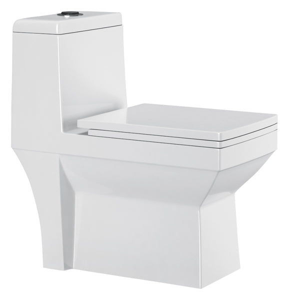 AGL Selena S Trap One Piece EWC With Soft Close Seat Cover