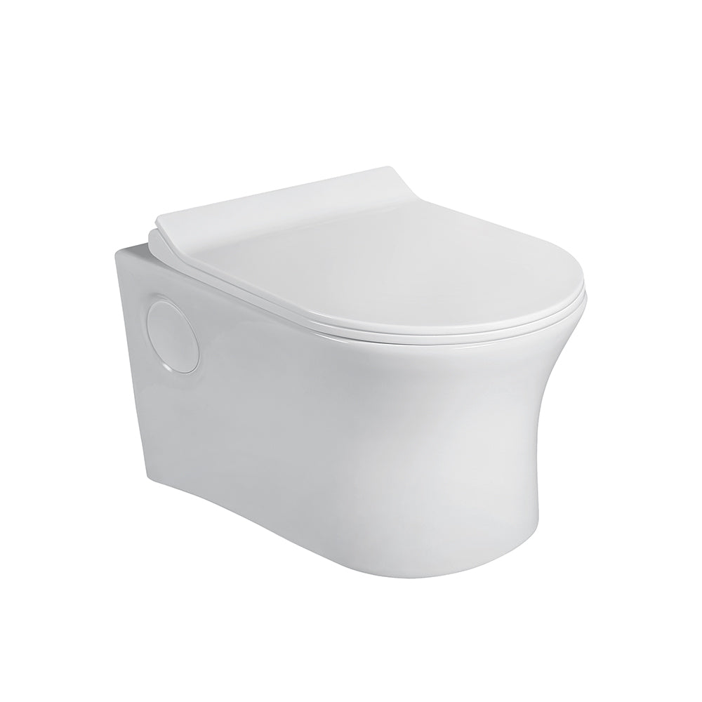 AGL Servo Wall hung EWC