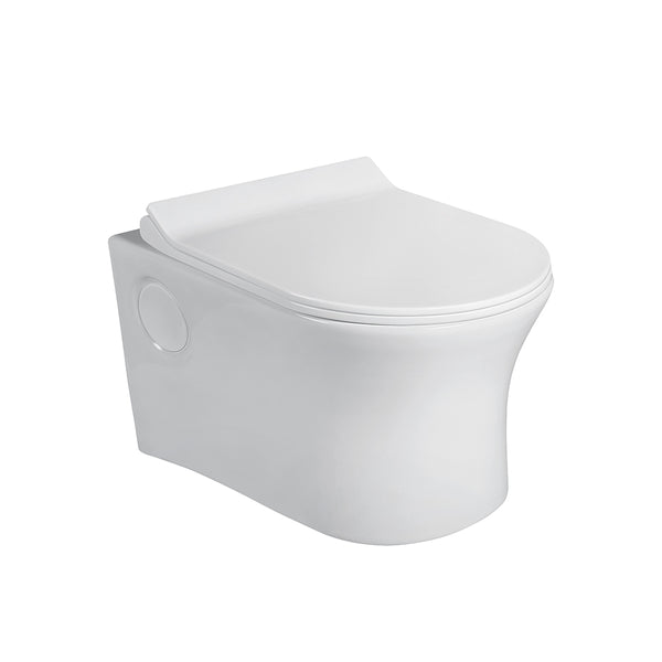 AGL Servo Wall hung EWC with  Seat Cover