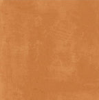 Digital Porcelain Tiles Code Tawny Umber D (600x600 mm) Matt