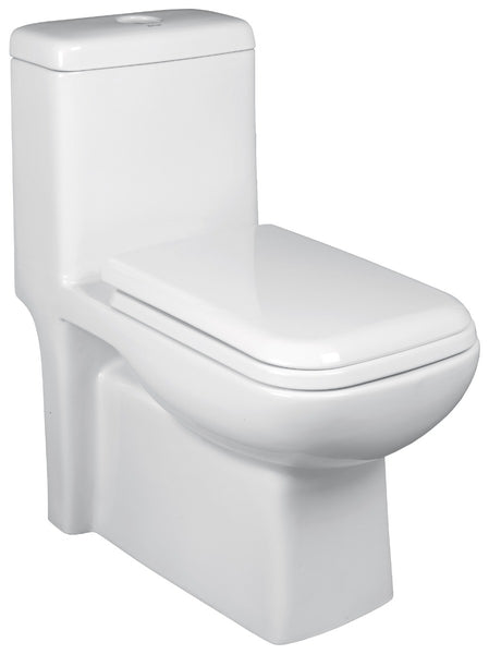 AGL Taylor S Trap One Piece EWC With Soft Close Seat Cover