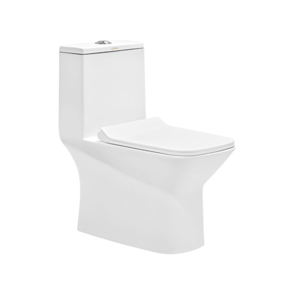 Cera Ceremony 5D One piece EWC with soft close seat cover
