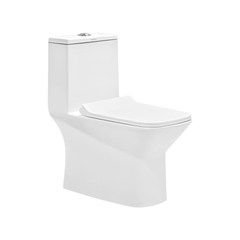 Cera Ceremony 5D One piece EWC with soft close seat cover