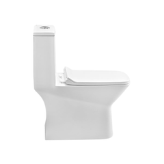 Cera Ceremony 5D One piece EWC with soft close seat cover