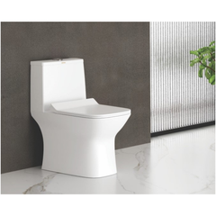 Cera Ceremony 5D One piece EWC with soft close seat cover
