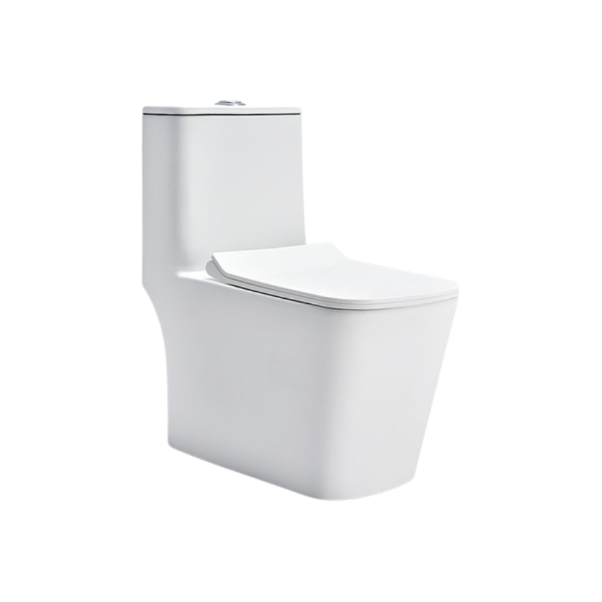 Cera Charm 6D One Piece EWC With Soft Close Seat Cover