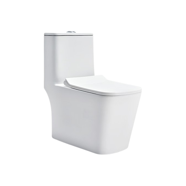 Cera Charm 6D One Piece EWC With Soft Close Seat Cover