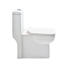 Cera Canyon P Trap One Piece EWC With Soft Close Seat Cover