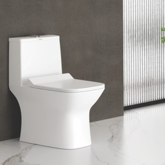 Cera Ceremony 5D 220 mm One Piece EWC With Soft Close Seat Cover