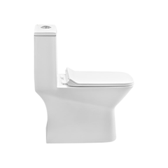 Cera Ceremony 5D 220 mm One Piece EWC With Soft Close Seat Cover