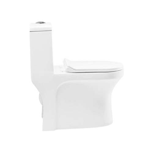 Cera Cimba 225 mm S Trap One Piece Commode S1013163 | Premium Rimless Single Piece Western Toilet