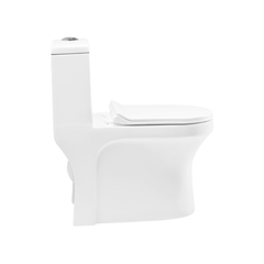 Cera Cimba 225 mm One Piece EWC With Soft Close Seat Cover