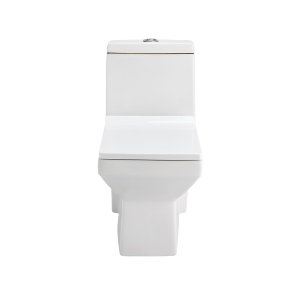 Cera Cona Jet 220 mm One Piece EWC With Soft Close Seat Cover