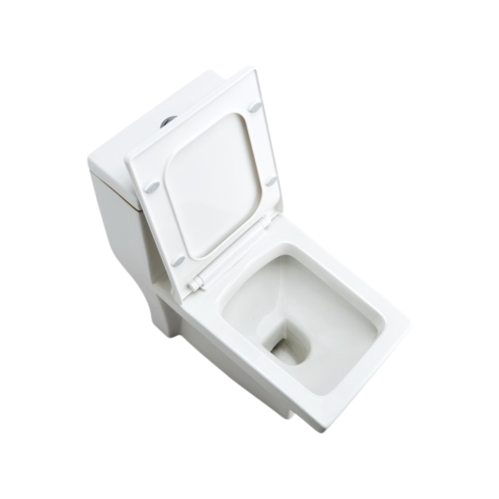 Cera Cona 225 MM One Piece EWC