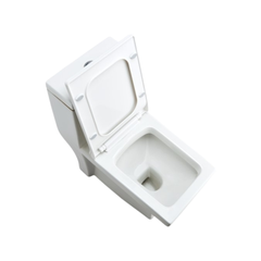 Cera Cona Jet 220 mm One Piece EWC With Soft Close Seat Cover