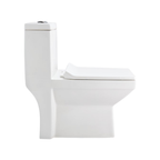 Cera Cona 225 MM One Piece EWC