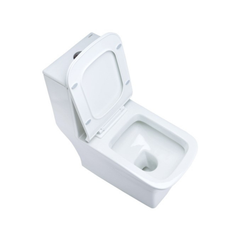 Cera Cinova 220 mm One Piece EWC With Soft Close Seat Cover