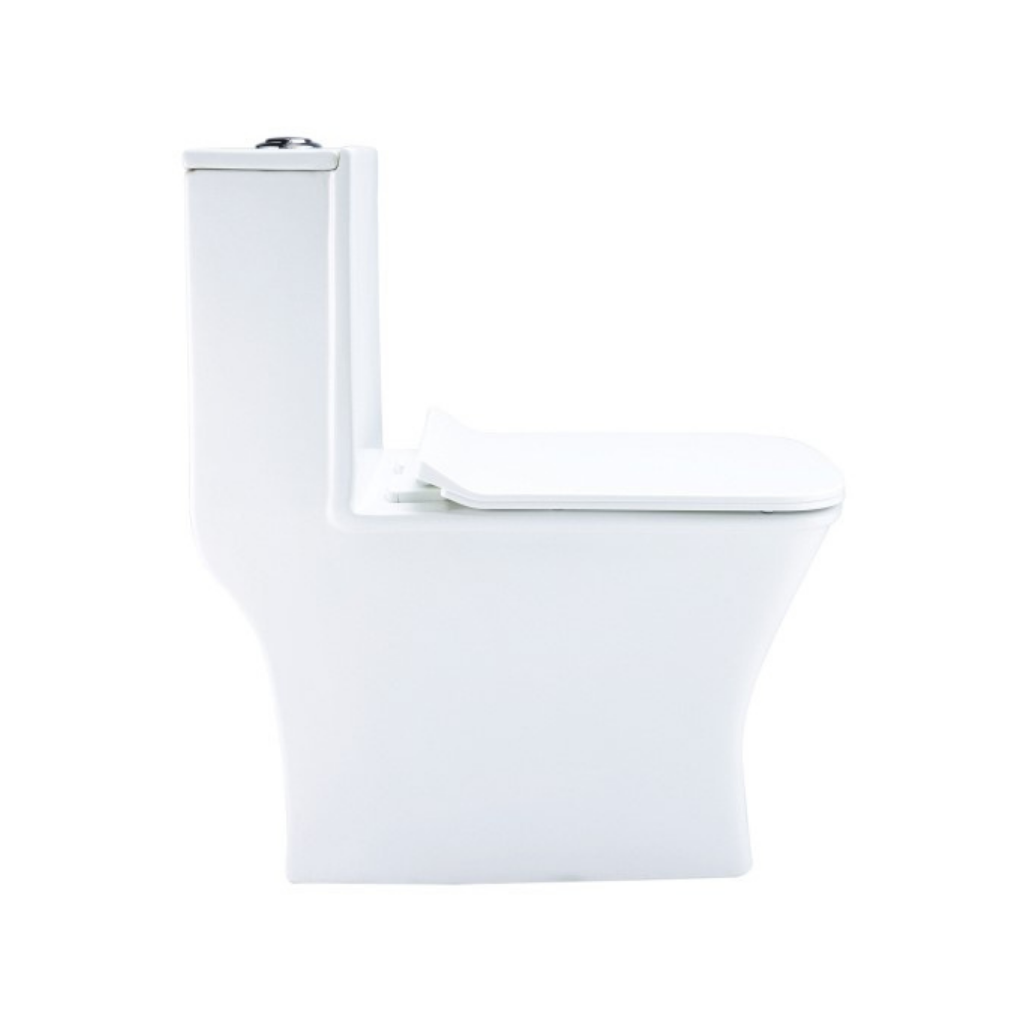 Cera Cinova 220 mm One Piece EWC