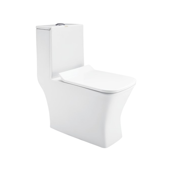 Cera Cinova 220 mm One Piece EWC With Soft Close Seat Cover