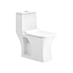 Cera Captor 220 mm One Piece EWC With Soft Close Seat Cover