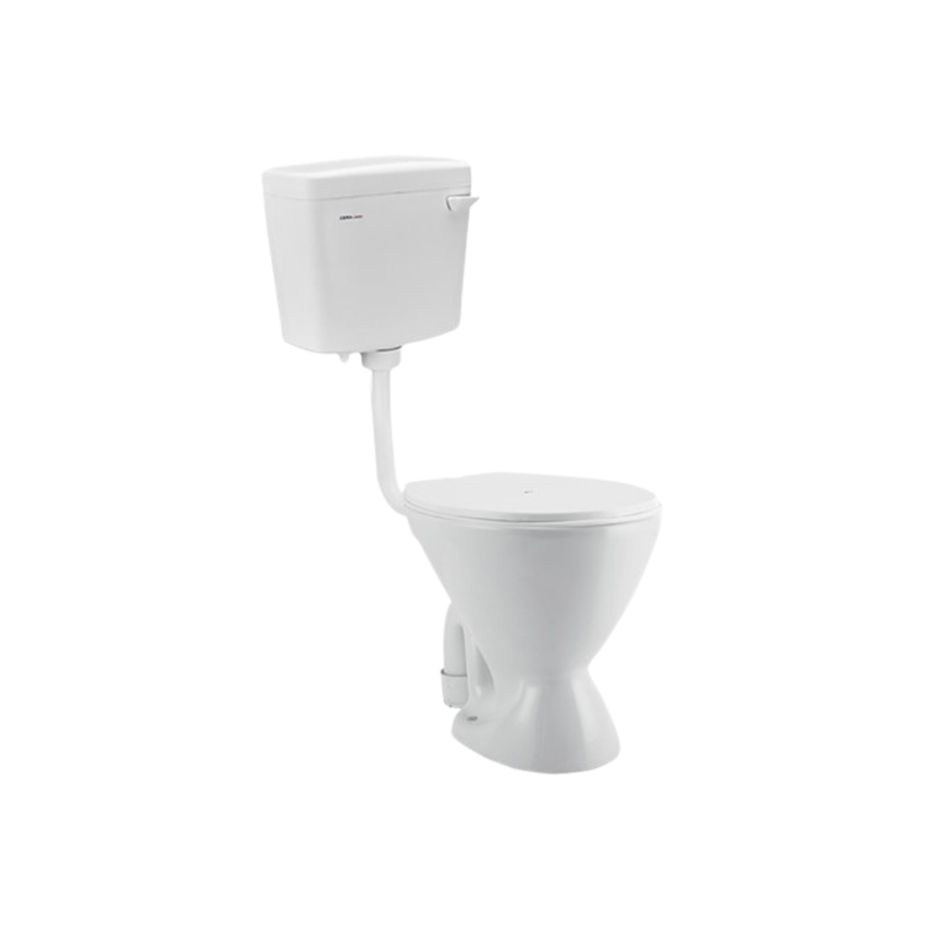Cera Camelia Pro SF