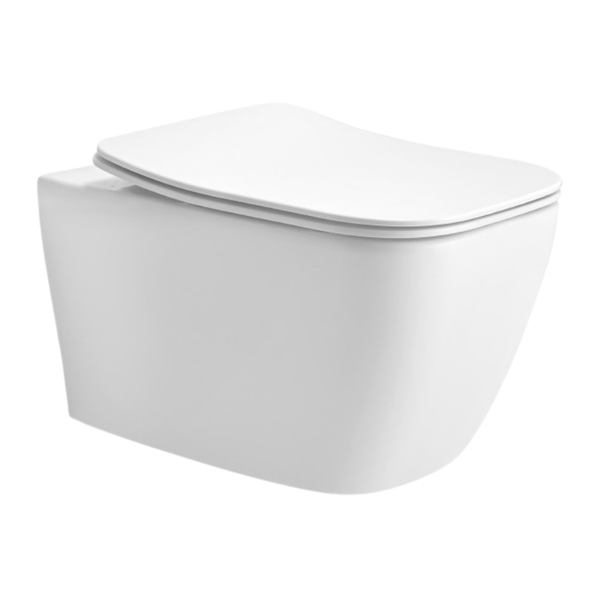 Cera Carlton Wall hung EWC with Duroplast slim seat cover