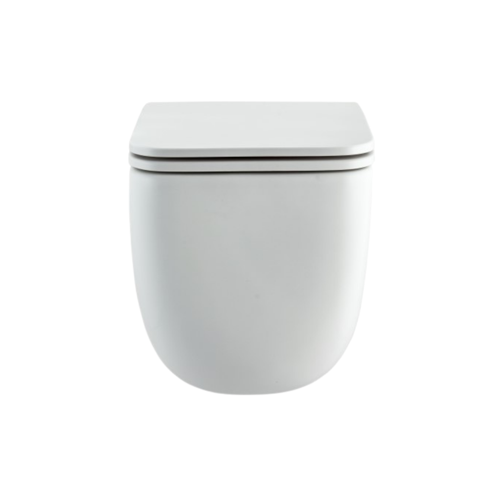 Cera Cartica Quiet Wave wall hung EWC