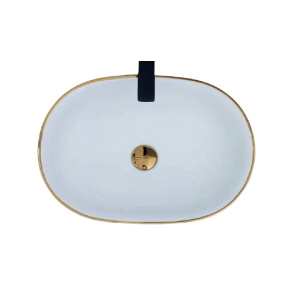 Designer Wash Basin Vinus 2009