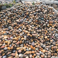 Pebbles Mix River Unpolished