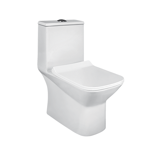 AGL Vibe S Trap One Piece EWC With Soft Close Seat Cover