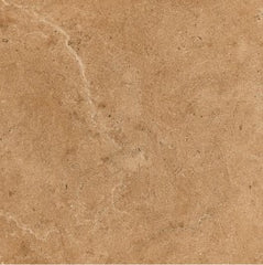 Digital Vitrified Tiles Code Alaska Tusk (600X600 mm) Matt