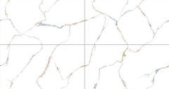 Digital Vitrified Tiles Code Alex White (600x1200 mm) Glossy