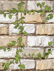 Digital Ceramic Tiles Code Alpine Leaf (300x450 mm) High Depth