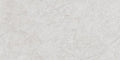Digital Vitrified Tiles Code Arena Bianco (600x1200 mm) Glossy Endless